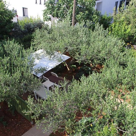 Apartments & Rooms Tea Ζαντάρ Εξωτερικό φωτογραφία