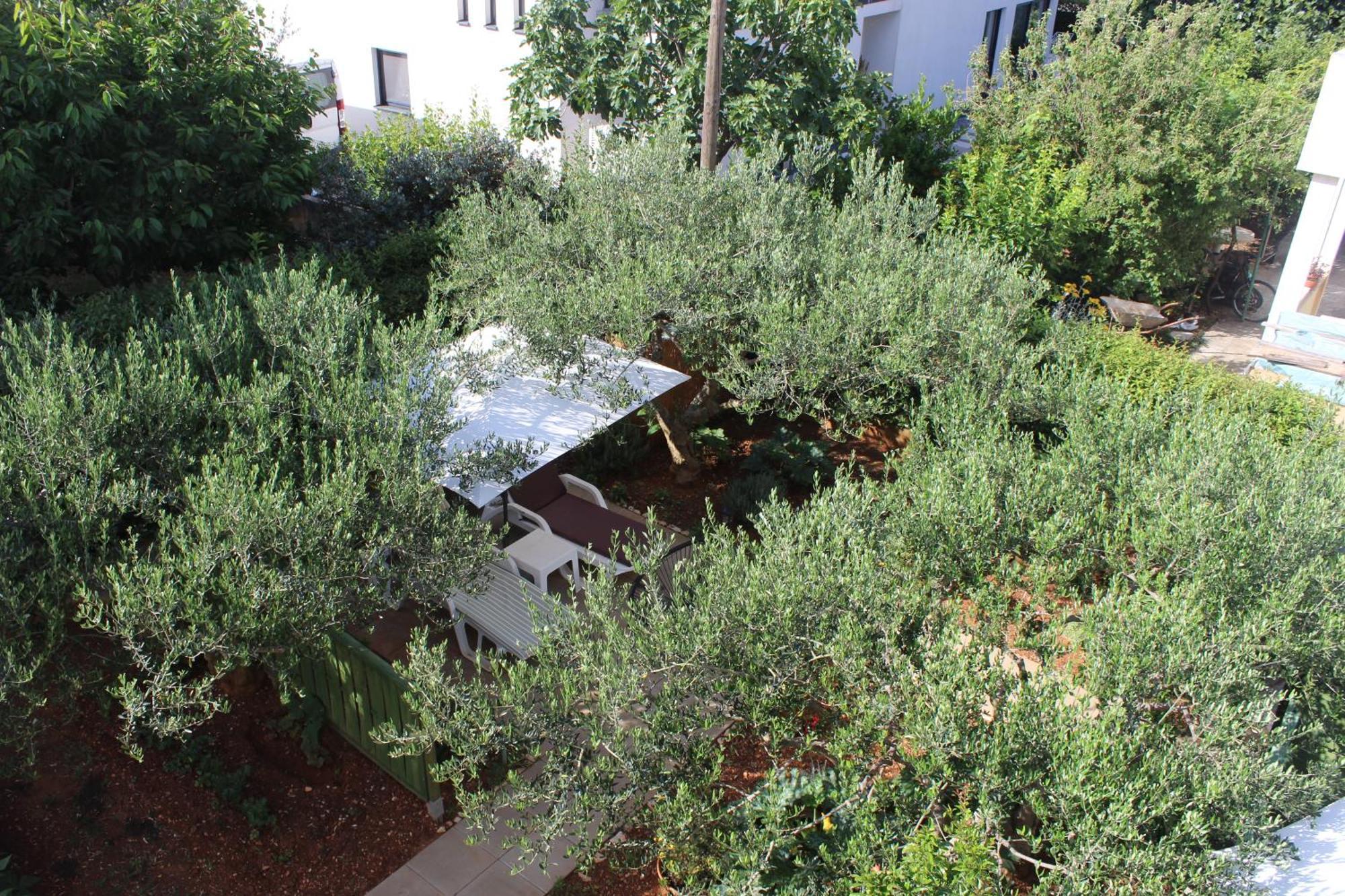 Apartments & Rooms Tea Ζαντάρ Εξωτερικό φωτογραφία